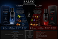 Salvo Collection -  Maison Alhambra